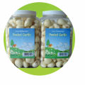 Fresh Peeled Garlic for America Market